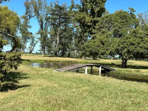 RUTA 8 100