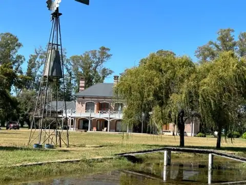 CAMPO EN VENTA - CAPITÁN SARMIENTO 300 HA