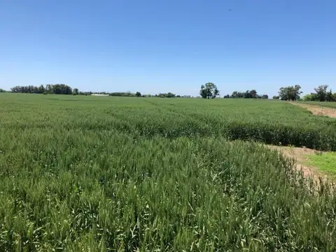 CAMPO EN VENTA - CAPITÁN SARMIENTO 300 HA