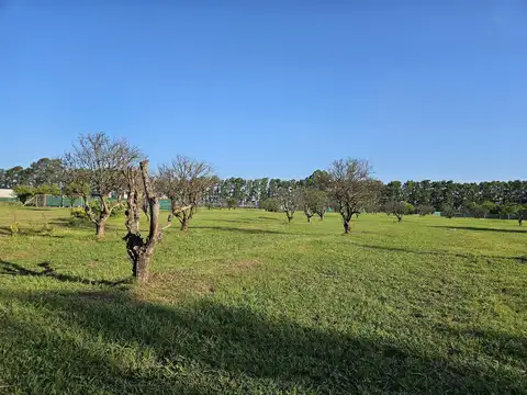 Terreno en  venta Azhares del Parana, Figuera