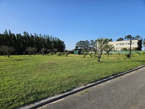 Azhares del Parana, Figuera
