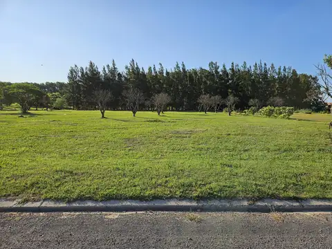 Terreno en Venta de 853,0 m2