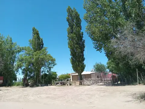 CAMPO EN VENTA VIÑEDOS Y CHACRA CERCANO A RUTA