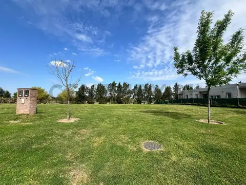 RUTA 25 , Piso 0