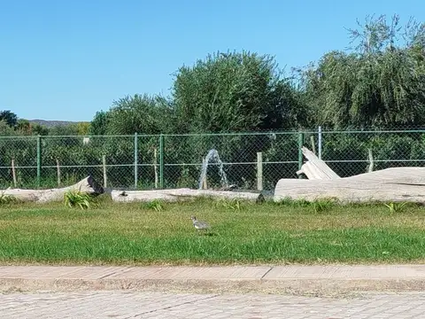 Terreno en Venta de 500,0 m2