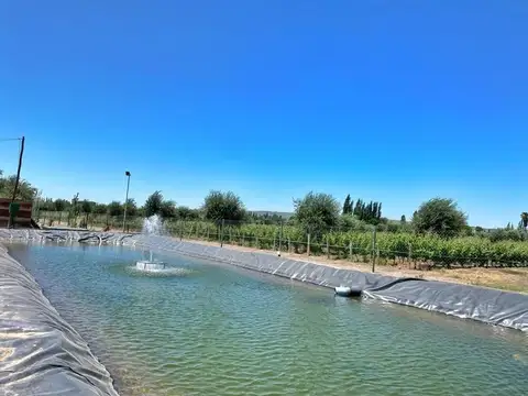 Terreno en Venta en Lunlunta, USD 18.999