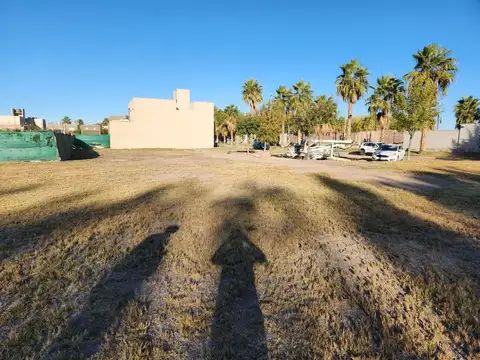 Profesor Mathus 2300