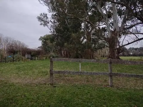 Terreno en venta - 5000mts2 - Exaltacion De La Cruz