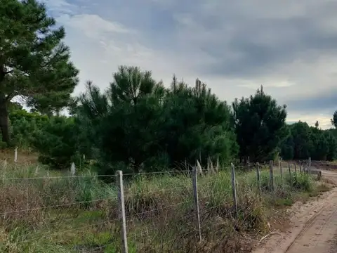Terreno en Venta de 9537,0 m2