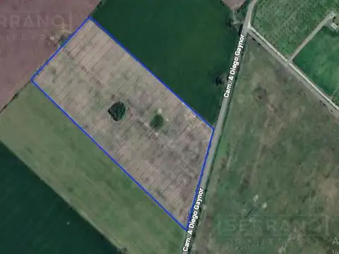 LDO Venta Campo 13 hectáreas Riego por aspersión Grama Bahiana Galpón 3 habitaciones Diego Gaynor