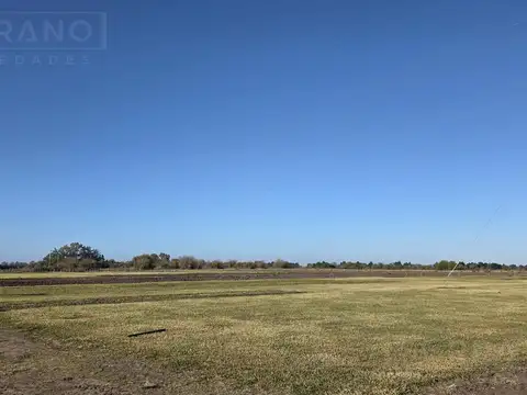LDO Venta Campo 13 hectáreas Riego por aspersión Grama Bahiana Galpón 3 habitaciones Diego Gaynor
