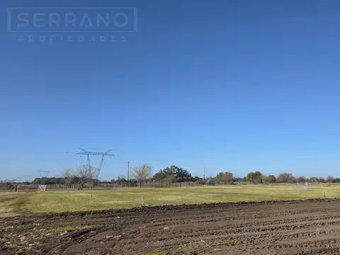 LDO Venta Campo 13 hectáreas Riego por aspersión Grama Bahiana Galpón 3 habitaciones Diego Gaynor