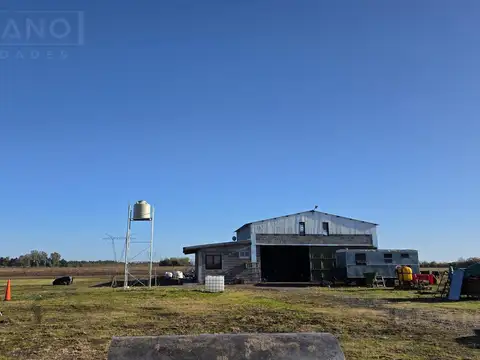 LDO Venta Campo 13 hectáreas Riego por aspersión Grama Bahiana Galpón 3 habitaciones Diego Gaynor