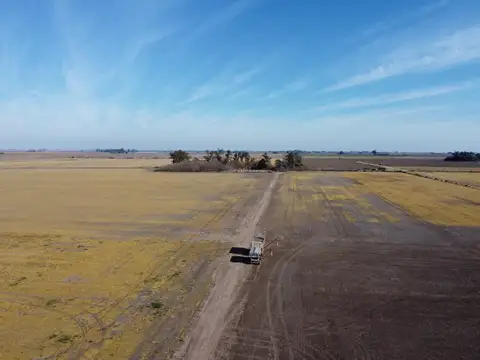 190 Hectareas con excelente productividad -