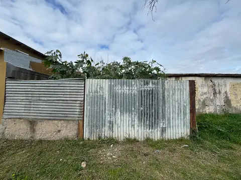 Pje French 600