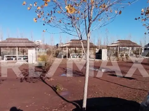Terreno en Venta en Picun Leufu, USD 26.500