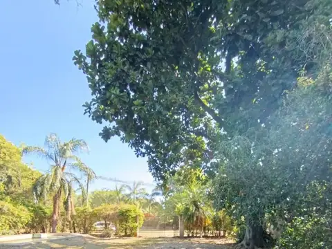 Av. Inocencio Gomez 250