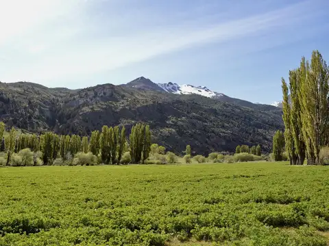 Estancia patagonica