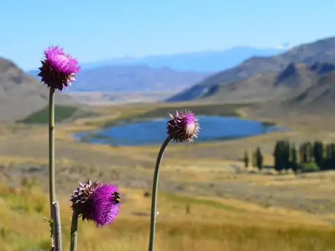 Estancia patagonica