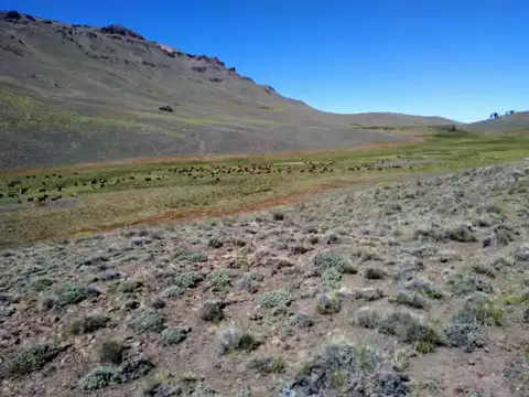 Estancia patagonica