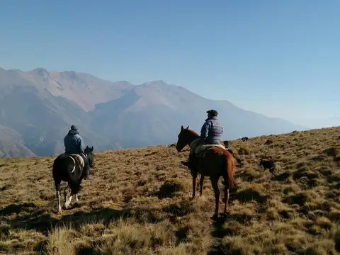 Estancia patagonica