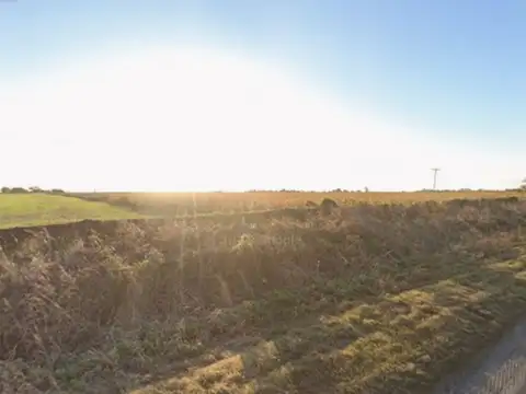 VENTA CAMPO DE 12 hectáreas en Llambi Campbell.-