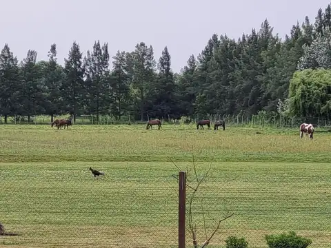 Av. Pereda S/n, Maximo Paz al 1800