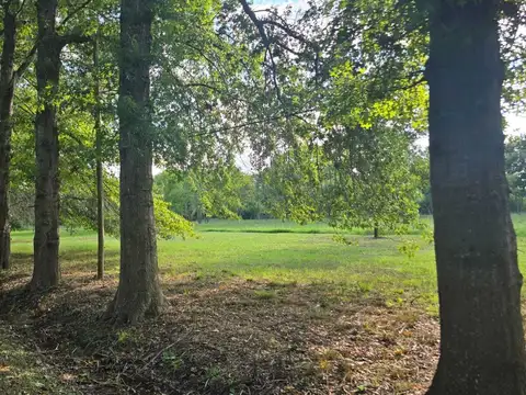 EL MAROTE-ruta 8 km 74.8 100