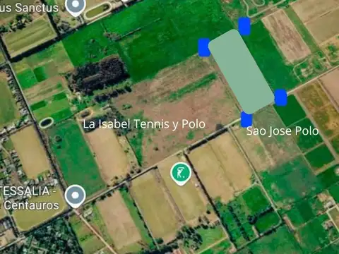 VENTA CAMPO GRAL RODRIGUEZ 14 HAS POLO