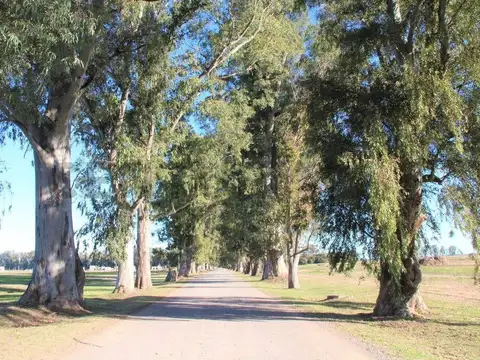 Ruta 6 km 142 , Piso 0