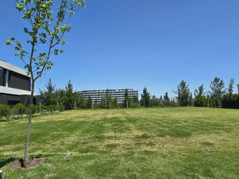 Av de la Cultura al 100