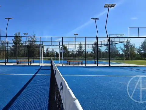 Av de la Cultura al 100