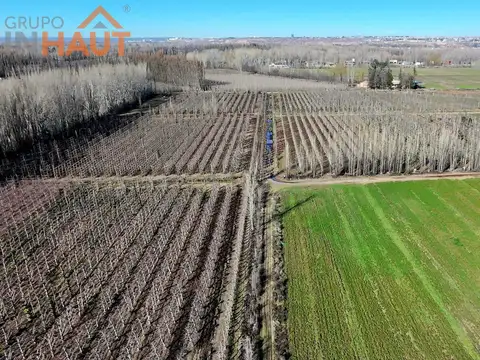 En Venta Chacra 20 ha en Ruta 151 Cinco Esquinas