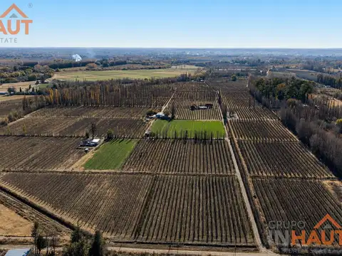 Campo en Venta en Cipolletti, General Roca