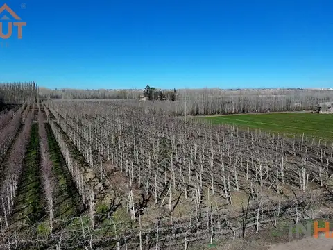 En Venta Chacra 20 ha en Ruta 151 Cinco Esquinas