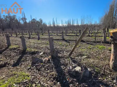 En Venta Chacra 20 ha-Casa con Pileta- Cinco Esquinas Cipolletti