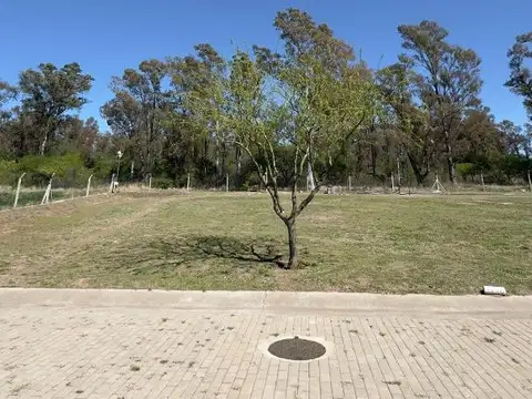 Lote en Acquavista Malagueño