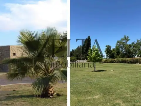 Vendo Lotes en Barrio Solares de Coquimbito, Maipú
