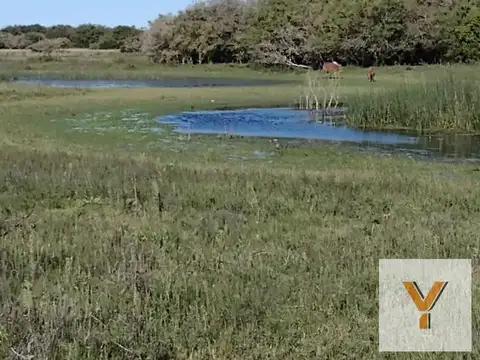 Campo en venta - 101 Hectáreas  - Pinamar