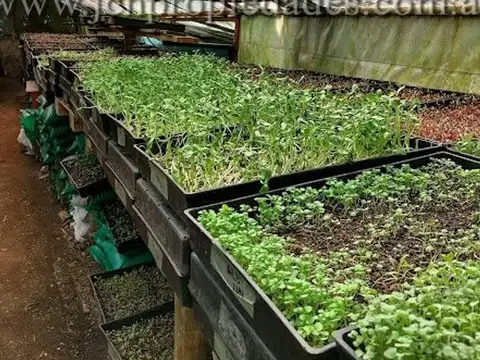 Fondo Comercio en Venta en Barrio Norte, USD 40.000