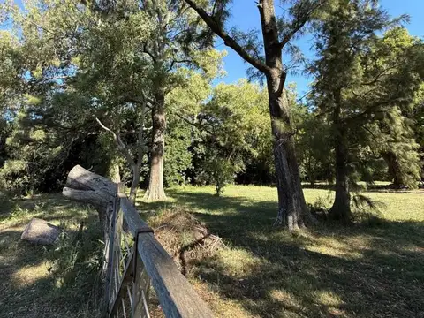 Terreno en Venta en Villa Lia, USD 150.000