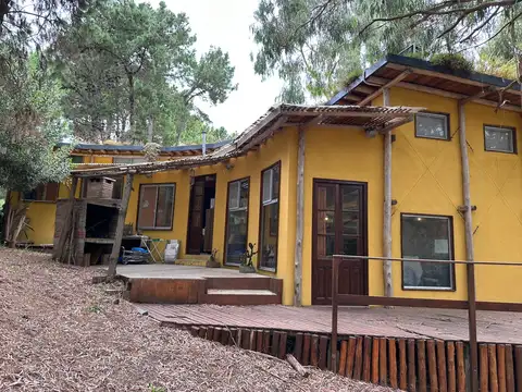Casa con gran lote, arboleda y terrazas – Diseño y naturaleza