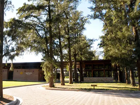 AZAHARES DEL PARANÁ