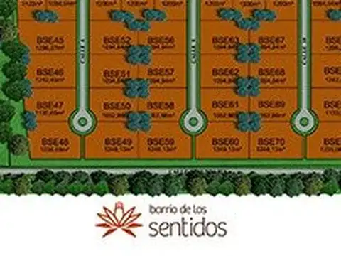 AZAHARES DEL PARANÁ