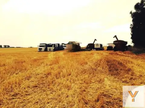 Campo en venta - 39.000.000Mts2 - Lobería