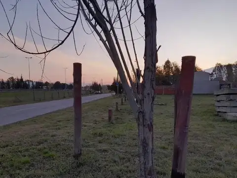 Terreno en Venta en General Rodriguez, USD 170.000