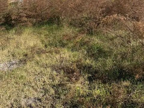 Terreno en Venta de 1500,0 m2