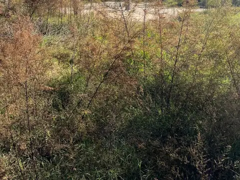 Excelente Lote en General Rodriguez