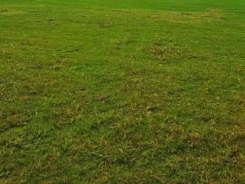 Terreno en Venta 50  mts Fondo