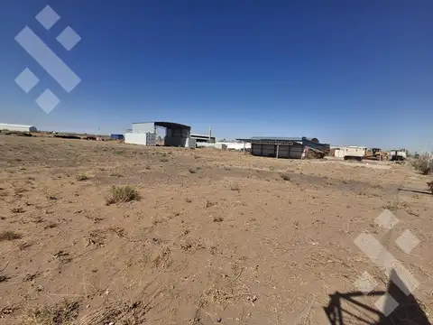 Alquiler /Venta , Lote de 5.000 m2  con tinglado, P IND  Añelo